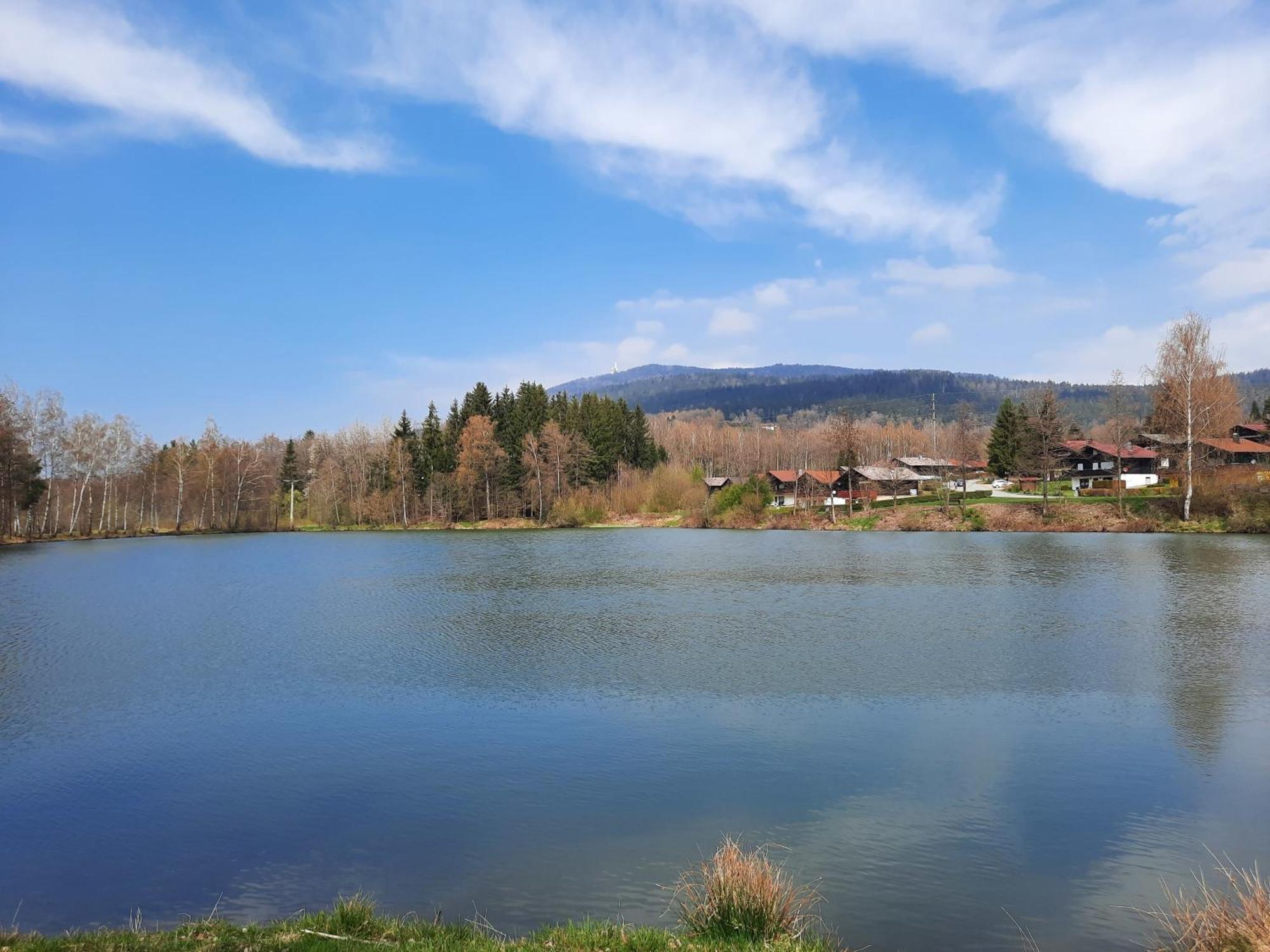 Fewo Bayerischer Wald Im Lamer Winkel Arrach Exteriör bild