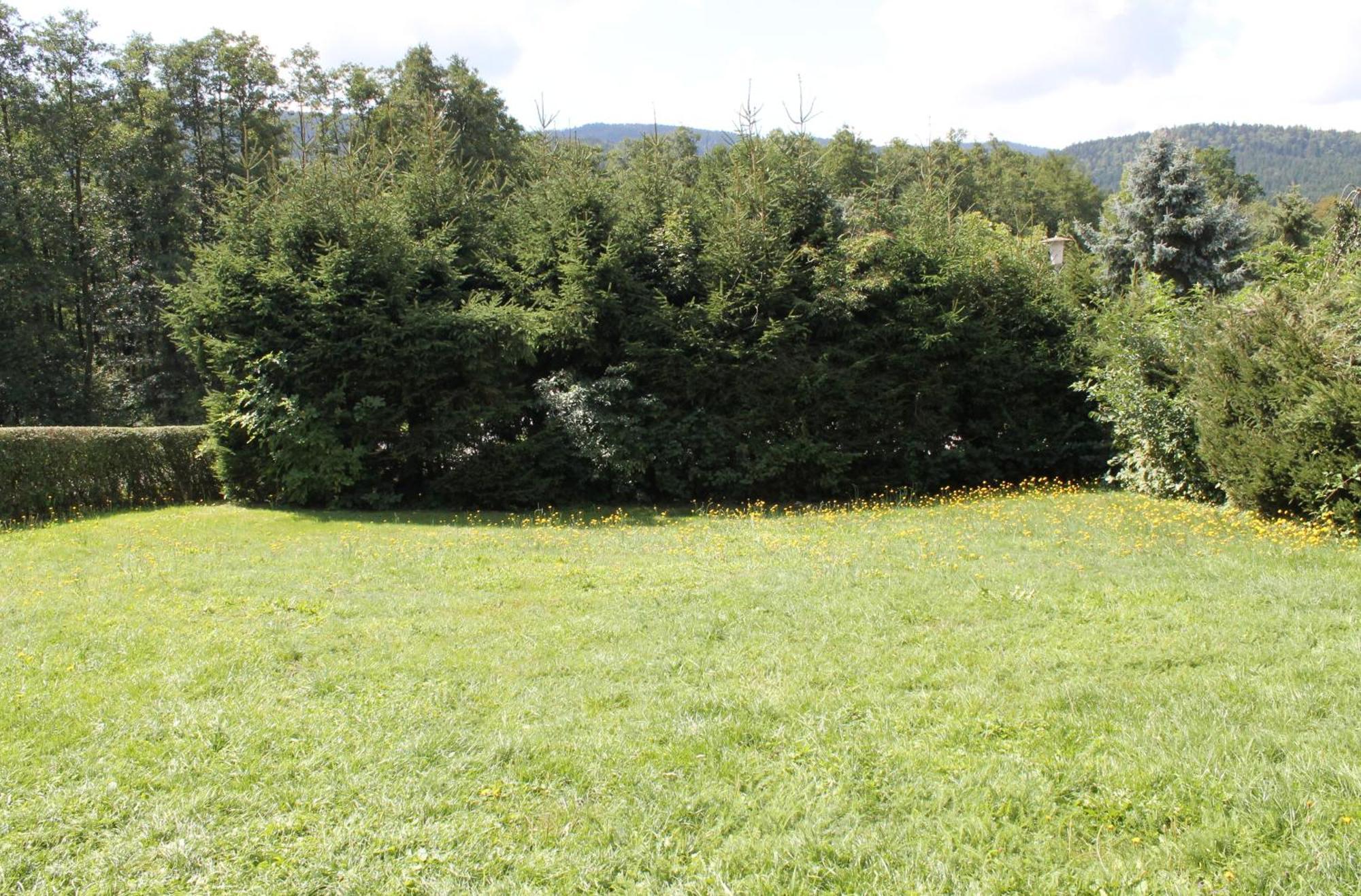 Fewo Bayerischer Wald Im Lamer Winkel Arrach Exteriör bild